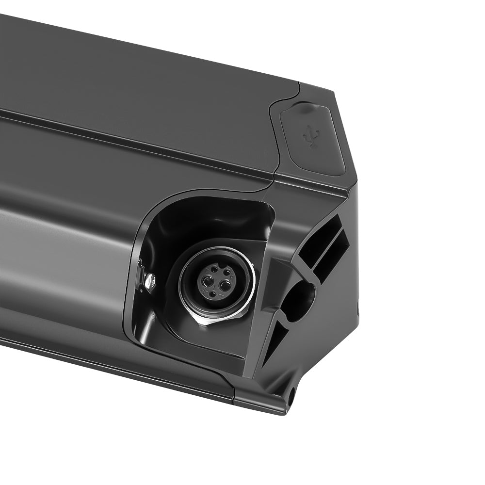E-Bike Battery 48V 12.8Ah/16Ah,Reention Dorado Plus Battery,for Aventon Pace 500,NCM Moscow