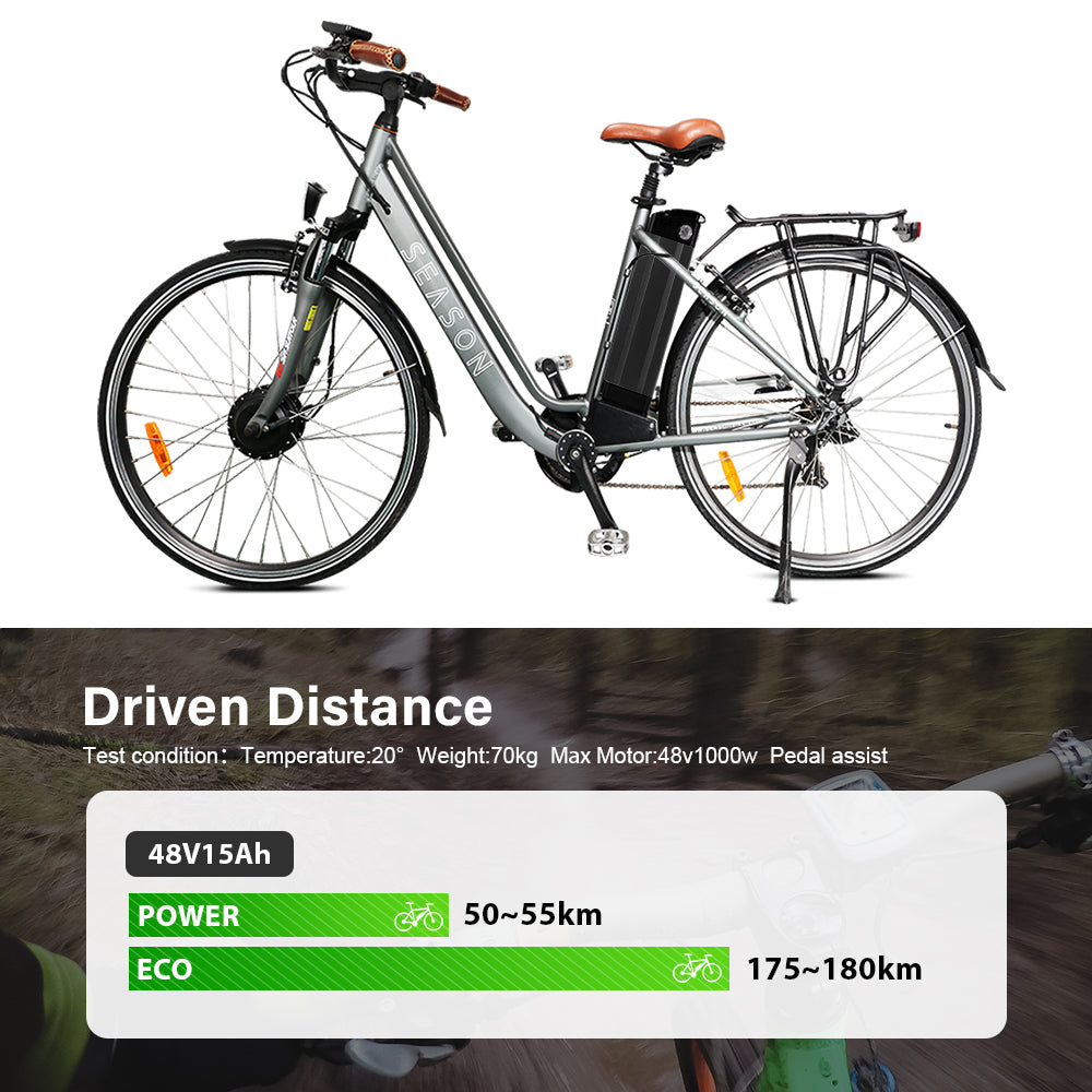 E-Bike Battery 48V 15Ah Silver Fish in Black Seat Tube Lithium Pedelec Battery for 250W-700W EBike
