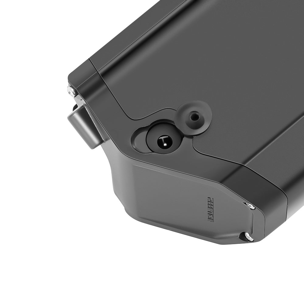 E-Bike Battery 48V 12.8Ah/16Ah,Reention Dorado Plus Battery,for Aventon Pace 500,NCM Moscow